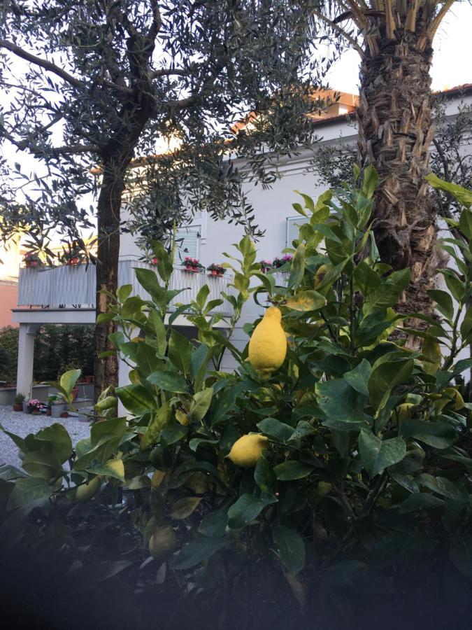 Guesthouse Villa Jung Bordighera Eksteriør billede